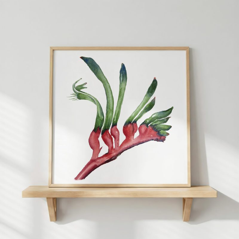Kangaroo paw Australian botannical watercolour wall art print